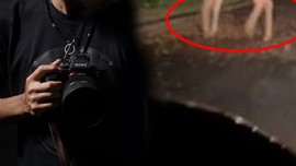 Amatör doğa fotoğrafçısı doğada 30.000'de 1 görülen nadir hayvanı fark edince eli ayağı boşaldı. Hemen o 1 tane hayvanın fotoğrafını çekti