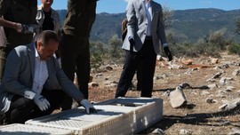Karaman’da 500 tanesi doğaya bırakıldı... 500 tanesinin  de Türkiye için çok önemli 1 görevi var