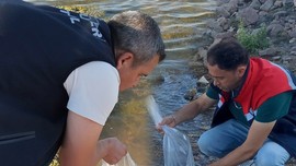 Konya'da 500.000 tanesi doğaya bırakıldı... Doğada her tarafa dağılmaları toplamda 1 dakikayı bulmadı