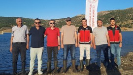 Konya'da doğadan güzel haber verildi. 227 bin 500 tanesi hep birlikte Konya'ya bırakıldı