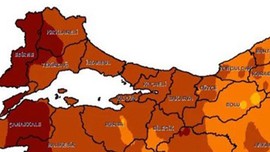 İstanbul'da Avcılar, Bakırköy, Beylikdüzü, Esenyurt, Esenler, Güngören, Bahçelievler, Zeytinburnu, Bayrampaşa dahil her yere 45 gün korkunç kahverengi uyarısı