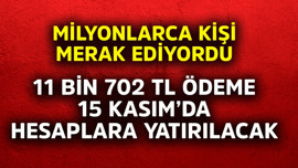 Milyonlarca kişi merak ediyordu! 11.702 TL ödeme,  15 Kasım'da hesaplara yatırılacak