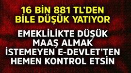 16 bin 881 TL'den bile düşük yatıyor! Emeklilikte düşük maaş almak istemeyen e-devlet'ten hemen kontrol etsin