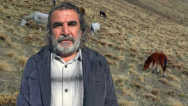 Van'da 100'lercesi doğaya bırakıldı! Bölge halkı "Büyük tehlike saçıyor bu hayvanlar"