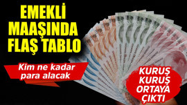 Emekli maaşında flaş tablo! Kim ne kadar para alacak kuruş kuruş çıktı