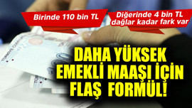 Birinde 110 bin TL, birinde 4 bin TL dağlar kadar fark var! Daha yüksek emekli maaşı için flaş formül