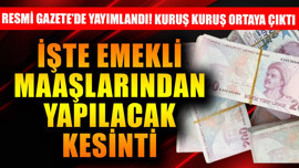 Resmi Gazete'de yayımlandı! İşte emekli maaşlarından yapılacak kesinti! Kuruş kuruş hesaplandı