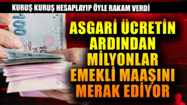 Asgari ücretin ardından milyonlar emekli maaşını merak etmeye başladı! Kuruş kuruş verdi