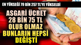 Asgari ücret 28 bin 75 TL olur olmaz bunların hepsi değişti! En  yükseği 79 bin 257 TL'ye yükseldi