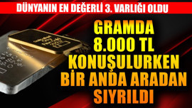 Gramda 8.000 TL konuşulurken bir anda aradan sıyrıldı! Dünyanın en değerli 3. varlığı oldu
