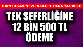 Tek seferliğine 12 bin 500 TL ödeme! IBAN hesabını veren vatandaşlara para yatırıldı