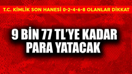 T.C. kimlik numarası son hanesi 0-2-4-6-8'e göre ödeniyor! 9.077 TL'ye kadar para yatacak