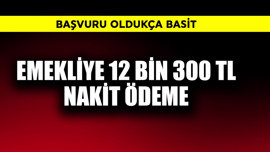 Emekliye  12.300 TL nakit ödeme! Başvuru çok basit