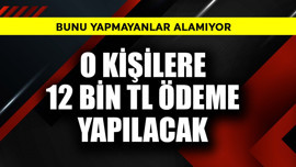 Emeklilere 12.000 TL'de flaş detay! Bunu yapmayan alamayacak