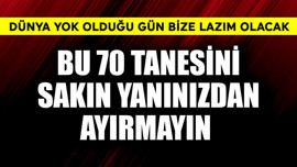 Bu 70 tanesini sakın yanınızdan ayırmayın! Dünya yok olduğu gün bize lazım olacak