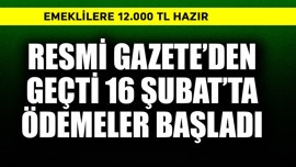 Resmi Gazete'den geçmişti, 16 Şubat'ta ödemeler başladı! Emeklilere 12.000