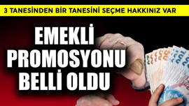 Emekli promosyonu belli oldu! 3 tanesinden birini seçin