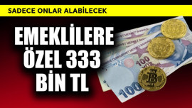 Emeklilere özel 333 bin TL! Sadece onlar alabilecek