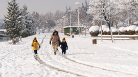 Türkiye'ye flaş uyarı! Sıcaklık aniden çakılacak, kar yolda