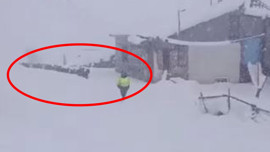 Sivas'ta yarım metre karda keçilerin yaptığı hayrete düşürdü