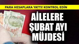 Ailelere şubat ayı müjdesi! Para hesaplara yattı