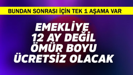 Emekli kabul edilirse 12 ay değil ömür boyu ödemeyecek