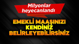 Emekli maaşınızı kendiniz belirleyebilirsiniz!  Milyonlar heyecanlandı