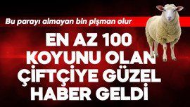 En az 100 koyunu olan çiftçiye güzel haber geldi
