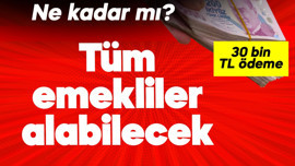 Tüm emekliler alabilecek! Ne kadar mı? 30 bin TL