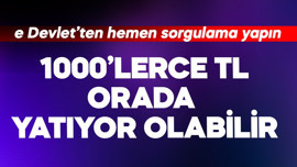 E Devlet'ten hemen sorgulama yapın! 1000'lerce TL orada yatıyor olabiliir