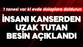 İnsanı kanserden uzak tutan besin açıklandı! 1 tanesi var ki evde dolaplara doldurun gitsin