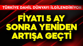 Türkiye dahil tüm dünyayı ilgilendiriyor! Fiyatı 5 ay sonra yeniden artışa geçti