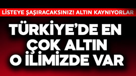 Türkiye'de en çok altın o ilimizde var! Listeye şaşıracaksınız bu iller altın kaynıyor resmen