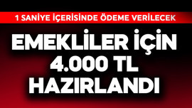 Emekliler için 4.000 TL hazırlandı! 1 saniye içinde verilecek