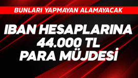 IBAN hesaplarına 44.000 TL müjdesi! Bunları yapmayan alamaz