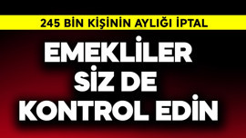 Emekliler dikkat siz de kontrol edin! 245 bin kişinin aylığı iptal