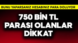 750 bin TL parası olanlar dikkat! Bunu yaparsanız 32 gün sonra hesabınız para doluyor