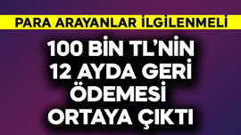 100 bin TL'nin 12 ayda geri ödemesi ortaya çıktı! Para arayanlar ilgilenmeli