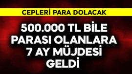 500.000 TL parası bile olanlara 7 ay müjdesi geldi! Cepleri para dolacak