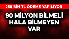 90 milyon bilmeli hala bilmeyen var! 250 bin TL ödeme yapılıyor