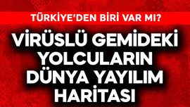 Virüslü gemideki yolcuların dünyaya yayılım haritası yayınlandı! Türkiye'den var mı?