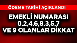 Emekli numarası 0, 2, 4, 6, 8, 1, 3, 5, 7 ve 9 olanlar dikkat! Ödeme tarihi açıklandı