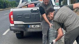 Manisa'da yerde hareketsiz yatıyordu! 1 adım bile atmamasına rağmen kimse dokunmadı
