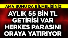 Herkes parasını oraya yatırıyor, aylık 55 bin TL getirisi var! Ama bunu da bilmelisiniz