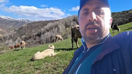 Erzincan’da doğada 3 tanesi karşısına çıktı, yanından gitmeyince yaptığı hareket güldürdü