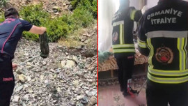 Osmaniye'de halının arasına 1 tanesi girdi! Acilen resmi ekipler çağrıldı