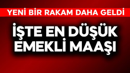 Emekli zammında yüzde 18 rakamı ortaya çıktı! İşte en düşük emekli maaşı
