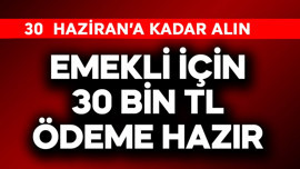 Emekli için 30 bin TL ödeme hazır! 30 Haziran'a kadar alın