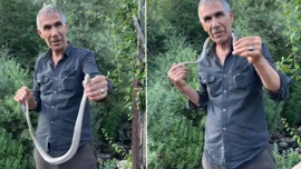 Bingöl'de hayrete düşüren hareket! Doğada tutup boynuna doladı: Sakın yapmayın