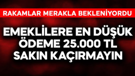 Emeklilere en düşük ödeme 25.000 TL sakın kaçırmayın